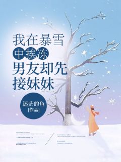 主角是苏竹月林兴的小说 《我在暴雪中挨冻，男友却先接妹妹》 全文免费阅读