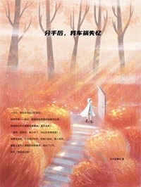 姜苑陆晨小说 《分手后，我车祸失忆》小说全文免费阅读