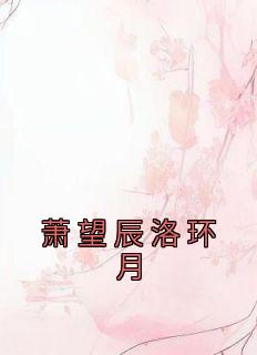 《萧望辰洛环月》小说最新章节免费阅读（完整版未删节）