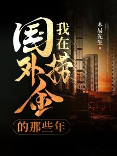 《我在国外捞金的那些年》小说章节列表精彩试读 杨子浩刘伟小说全文