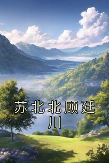 《苏北北顾廷川》小说完结版在线阅读 苏北北顾廷川小说全文