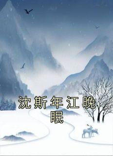 《沈斯年江晚眠》(江晚眠沈斯年)小说阅读by佚名