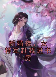 李子柒苏紫雪 新婚夜，女将军赶我进书房完结版在线阅读