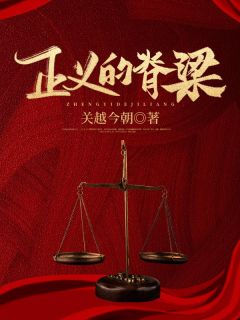 《正义的脊梁》精彩章节列表在线试读 赵林然金有财小说