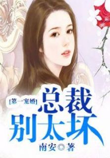 《第一宠婚：总裁别太坏》小说大结局精彩阅读 夏子夕穆少天小说全文