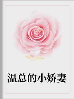 《温总的小娇妻》小说章节精彩阅读 蓝瑾恩温宸瀚小说阅读